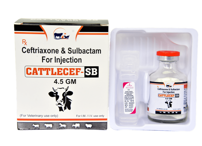 CATTLECEF-SB Injection